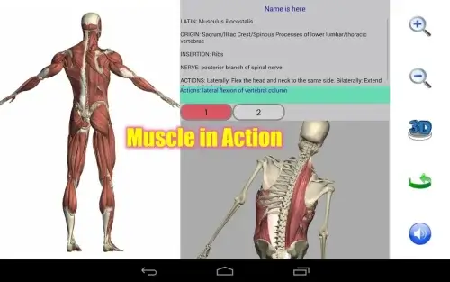 Visual Anatomy 2-screenshot-5